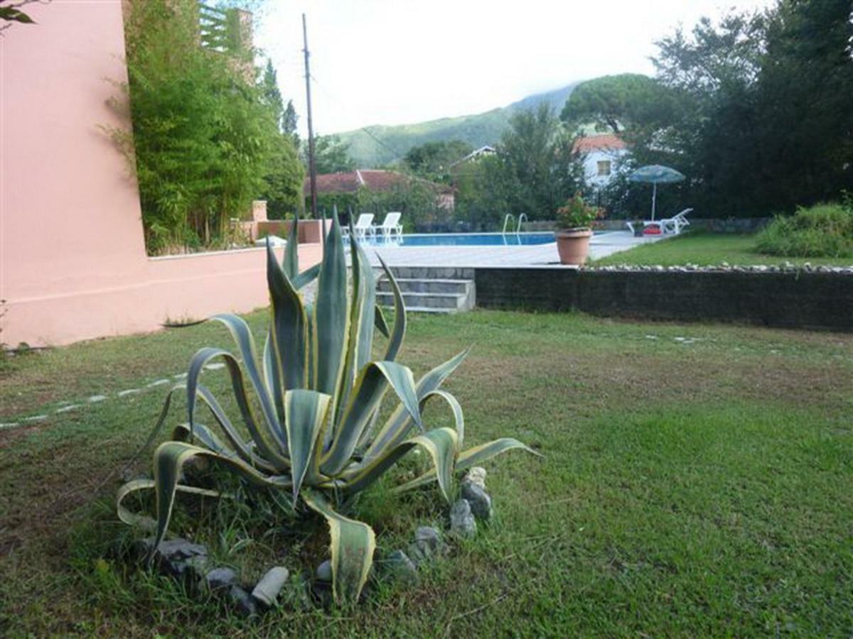 Stathis Apartments Dassia  Luaran gambar